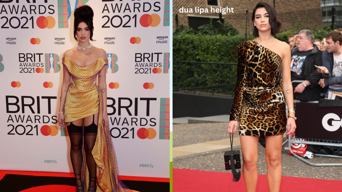 Dua Lipa Height