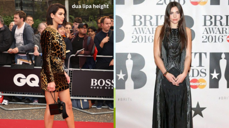 Dua Lipa Height