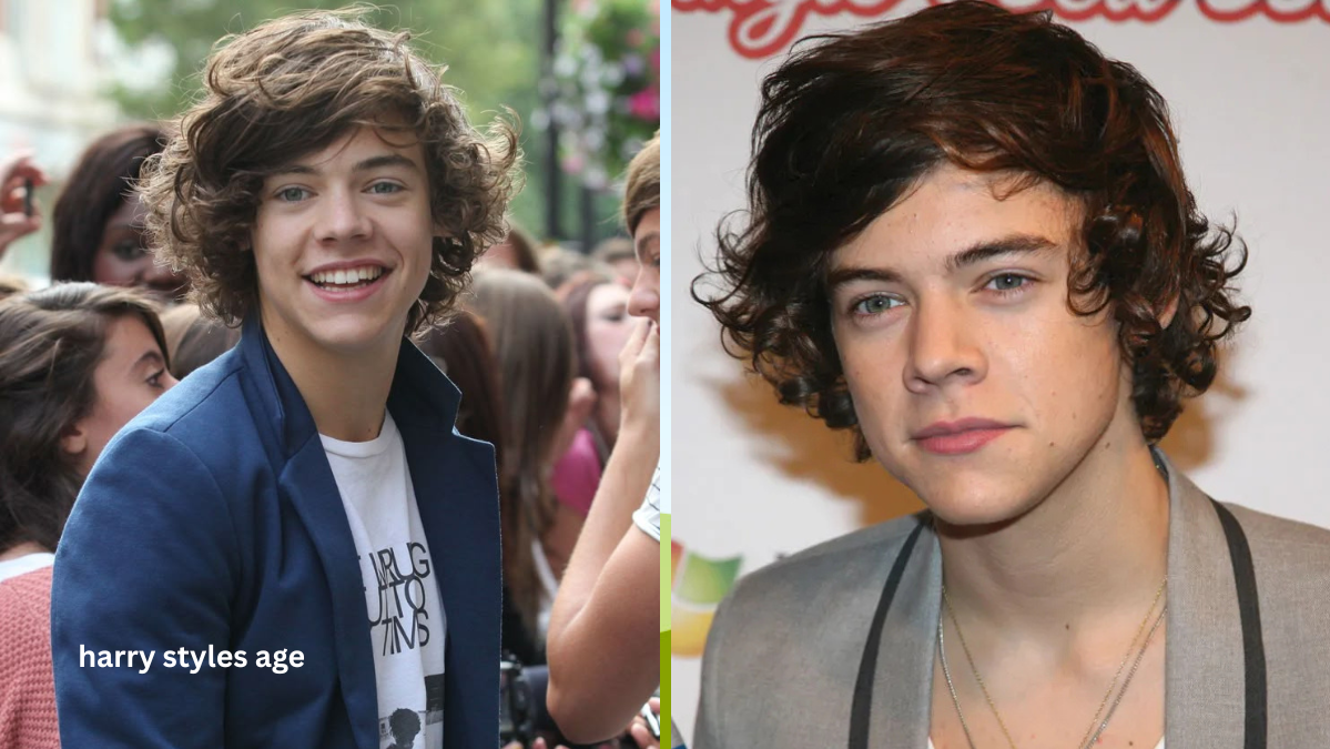 Harry Styles Age harry styles age