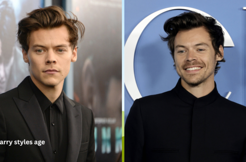 Blippi Stevin John harry styles age
