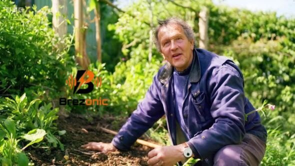 Monty Don Watering Advice Monty Don Watering Advice
