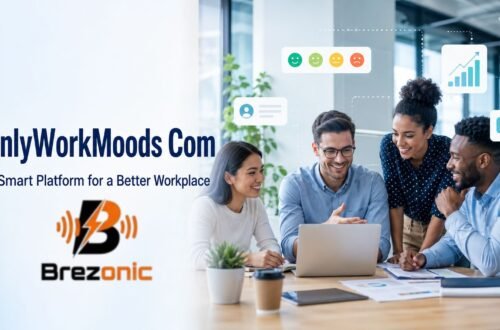 Pixelspinx com OnlyWorkMoods Com