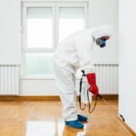 7 Signs You Need Professional pest control Help